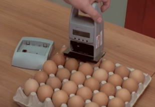 marcatore manuale per uova 